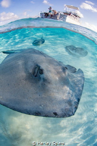 Stingray Crash by Henley Spiers 
